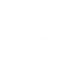 White guitar icon